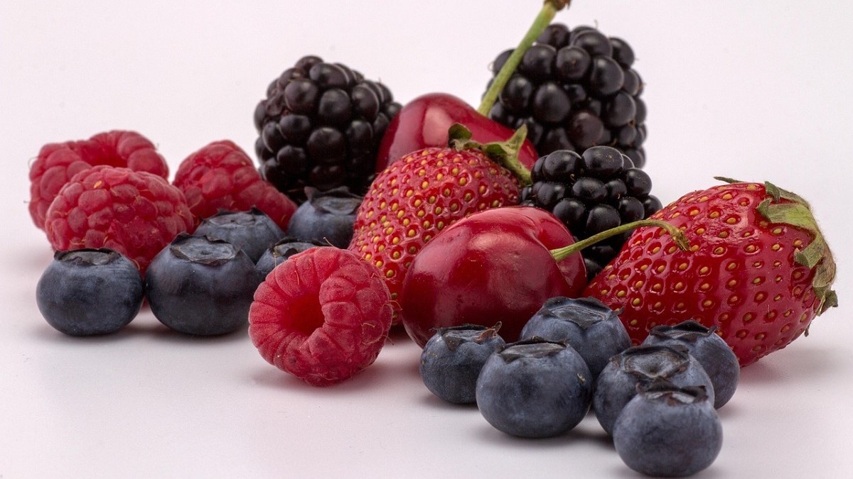 berries tr turoni.jpg